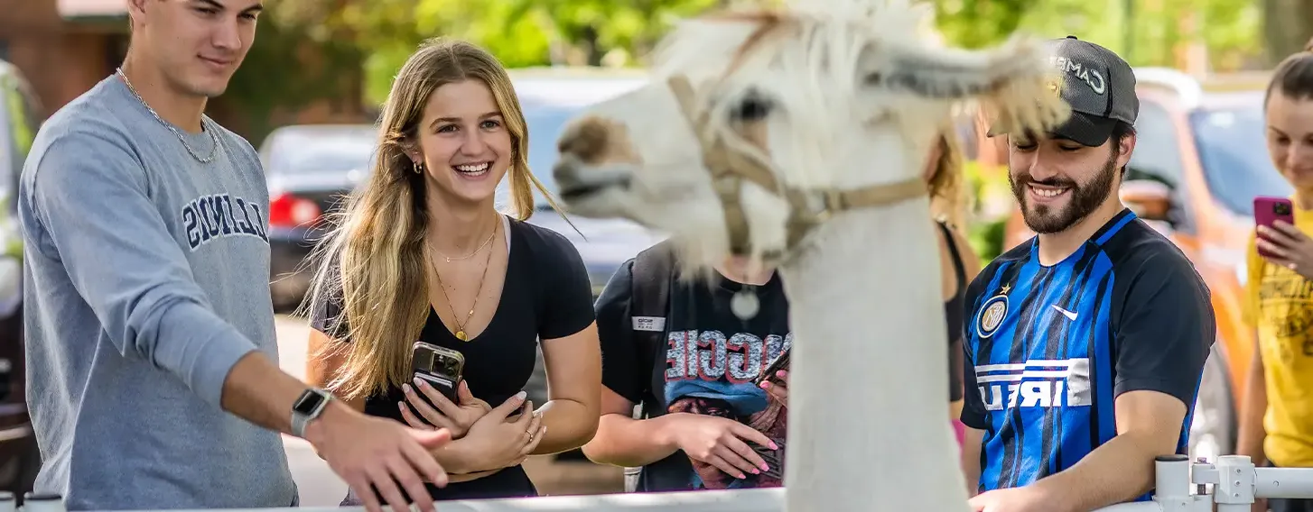 Students petting a llama on campus